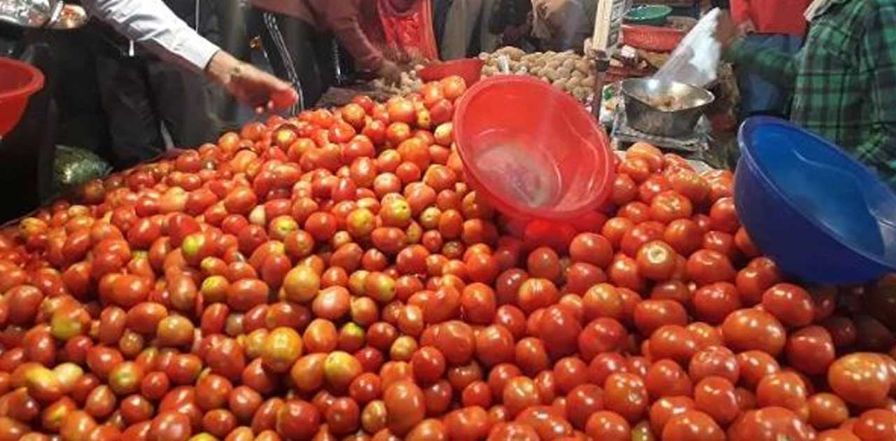 केंद्र सरकार ने देश भर में टमाटर की उपलब्धता और मूल्यो की सम... - CG Sandesh