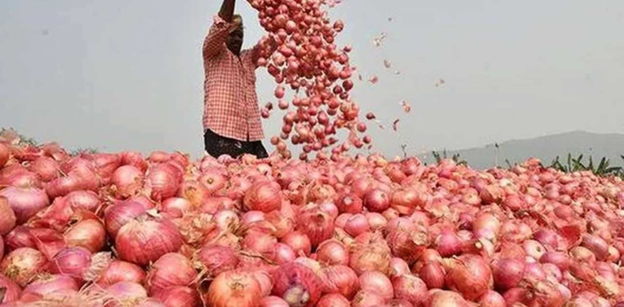 मंत्रिमंडल ने 1.2 लाख टन प्याज आयात की मंजूरी दी: सीतारमण - CG Sandesh