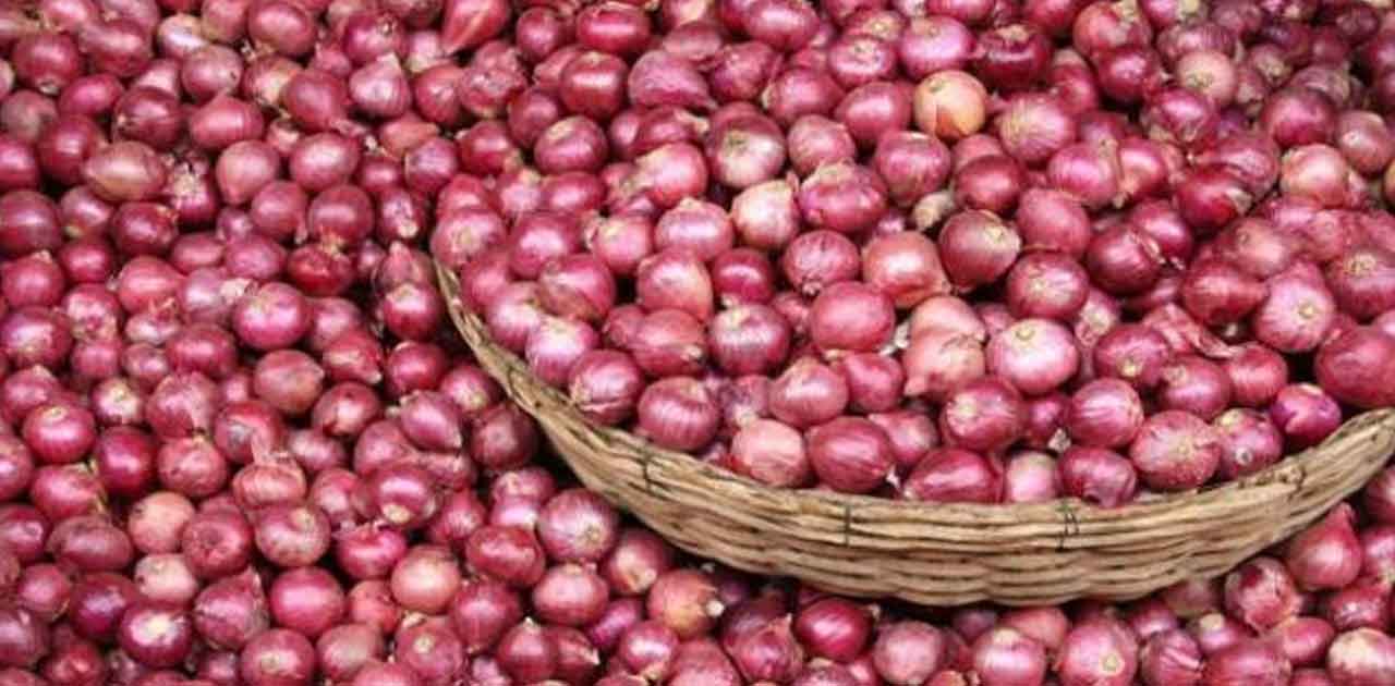 भारत पहुंचा 790 टन आयातित प्याज, कुछ आंध्र प्रदेश, दिल्ली भे... - CG Sandesh