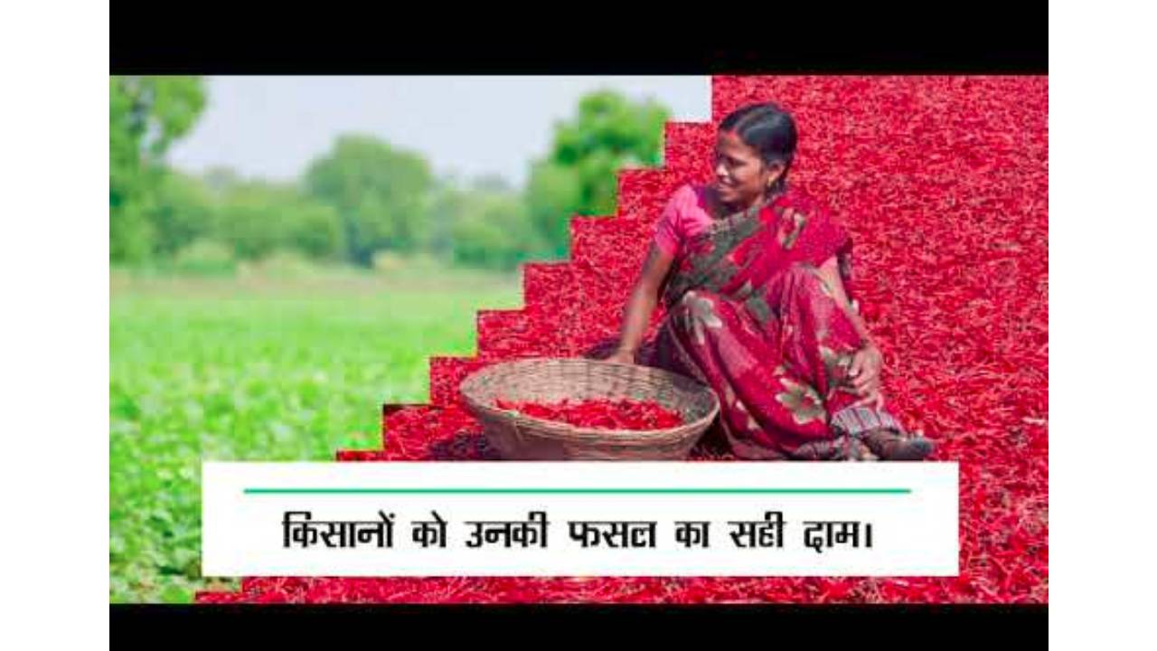 किसानों के जीवन में समृद्धि लाएगा मेगा फूड पार्क- केंद्रीय म... - CG Sandesh
