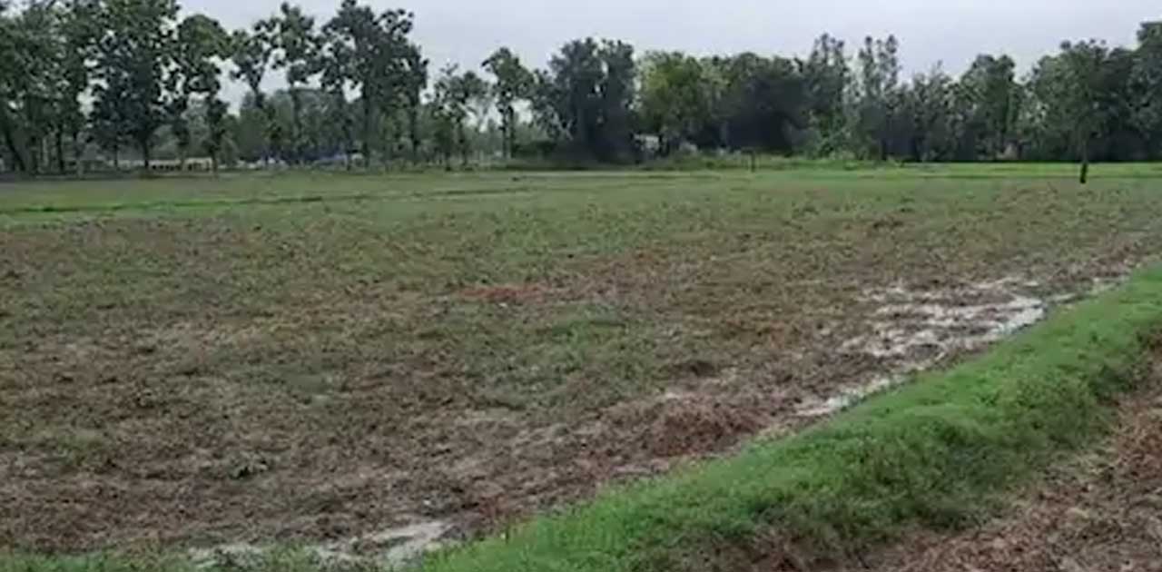 अयोध्या: मस्जिद के लिए सुन्नी वक्फ बोर्ड को राम जन्मभूमि से ... - CG Sandesh