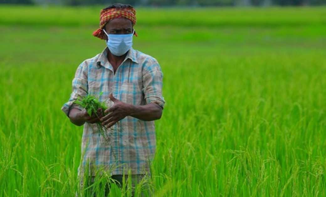 किसानों के लिए बड़ी खबर :  FPO के तहत मिलेंगे 15 लाख रुपए, स... - CG Sandesh
