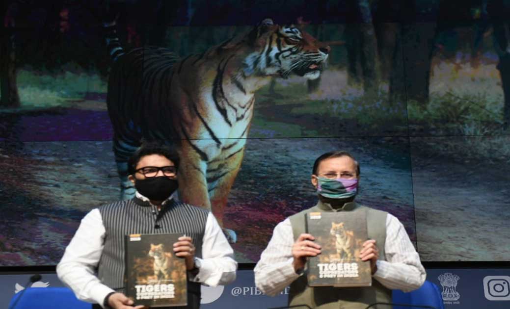  केंद्रीय मंत्री प्रकाश जावडेकर ने वैश्विक बाघ दिवस की पूर्व... - CG Sandesh
