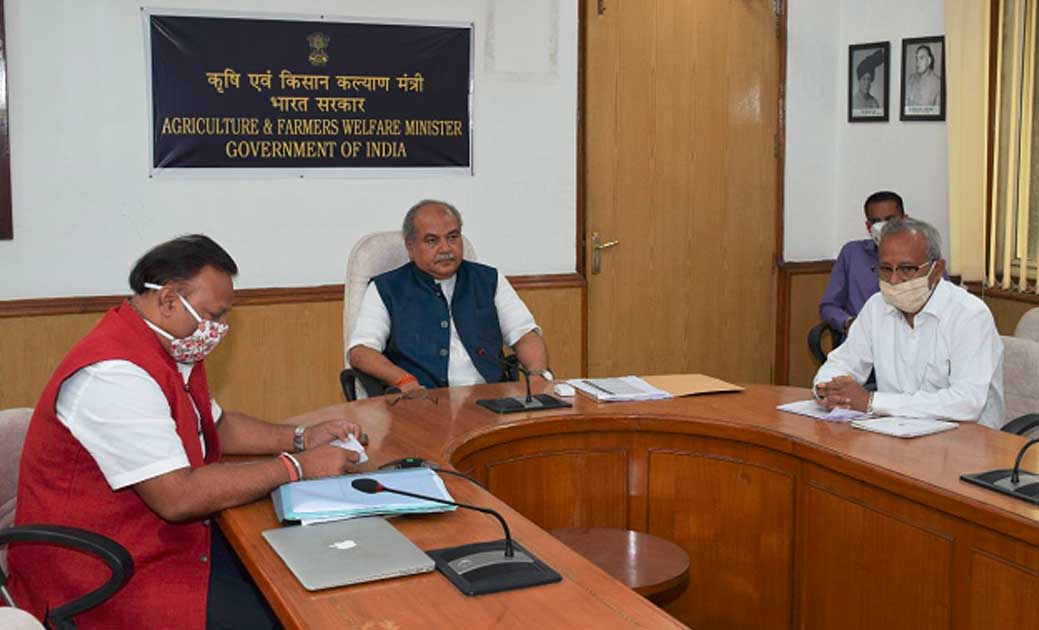  चंबल की बंजर जमीन पर किसान कर सकेंगे खेती - CG Sandesh