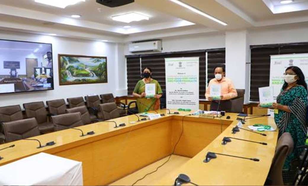 भारत में नैनो आधारित कृषि-इनपुट और खाद्य उत्पादों के मूल्यां... - CG Sandesh