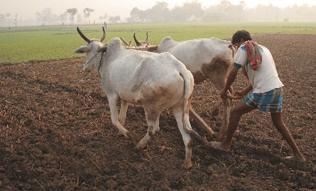  ‘कृषि अवसंरचना कोष’ के अंतर्गत वित्त पोषण सुविधा के लिए कें... - CG Sandesh