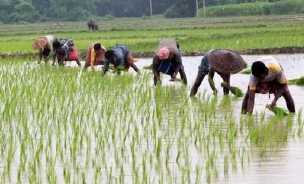 अगर लिया है Kisan Credit Card से लोन, तो इस तारीख को रखना हो... - CG Sandesh