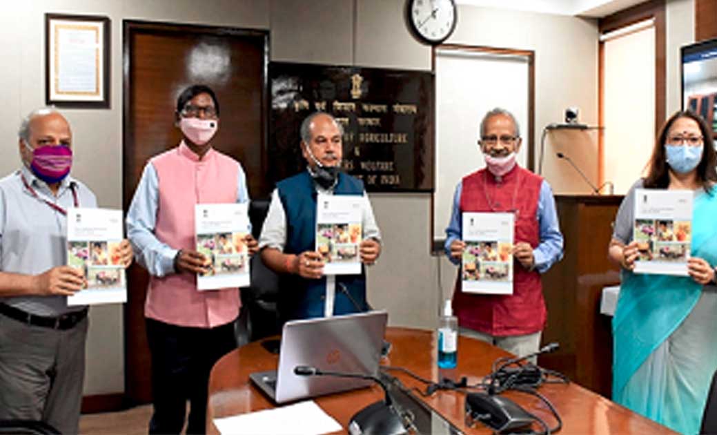  राष्‍ट्रीय ग्रामीण जीविका मिशन के तहत बनाये गये 66 लाख स्‍व... - CG Sandesh