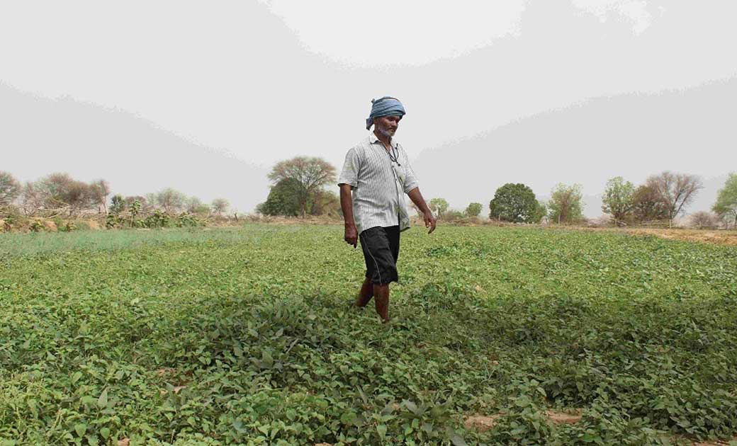2020-21 के खरीफ सत्र में तमिलनाडु, कर्नाटक, महाराष्ट्र, तेलं... - CG Sandesh