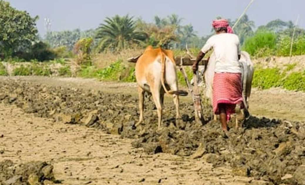 अब देश की अर्थव्यवस्था भी टिकी किसानों के कंधो पर, कृषि क्षे... - CG Sandesh