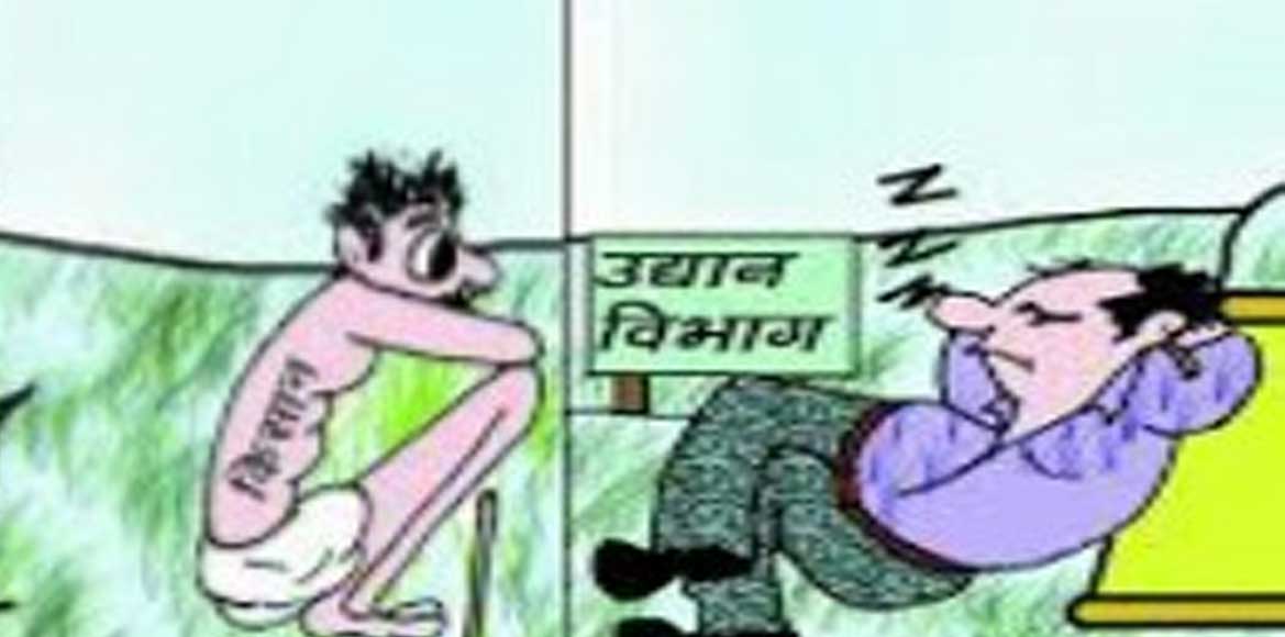 उद्यानिकी विभाग द्वारा संचालित शासकीय योजनाओं से बसना सरायपा... - CG Sandesh