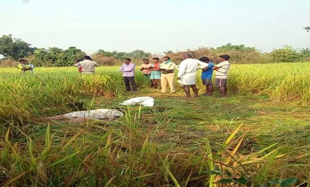 हाथी के कुचलने से किसान की मौत,पत्नी ने भागकर बचाई अपनी जान - CG Sandesh