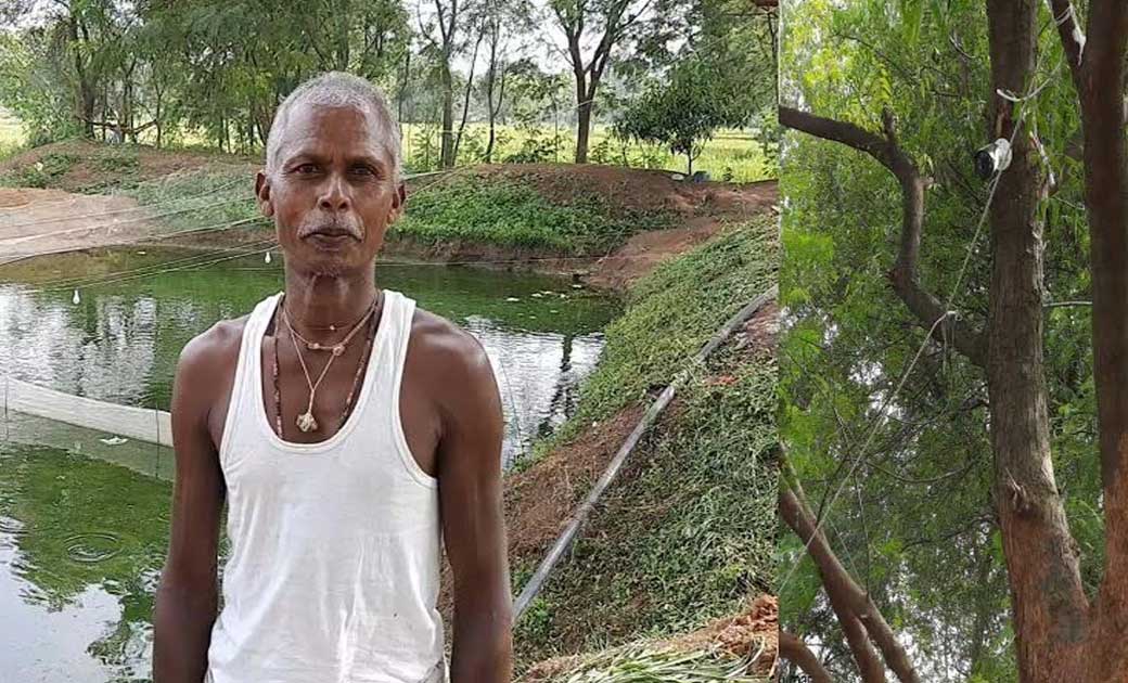 मछली उत्पादक राजकुमार मोबाईल एप के जरिए कर रहे निगरानी   - CG Sandesh