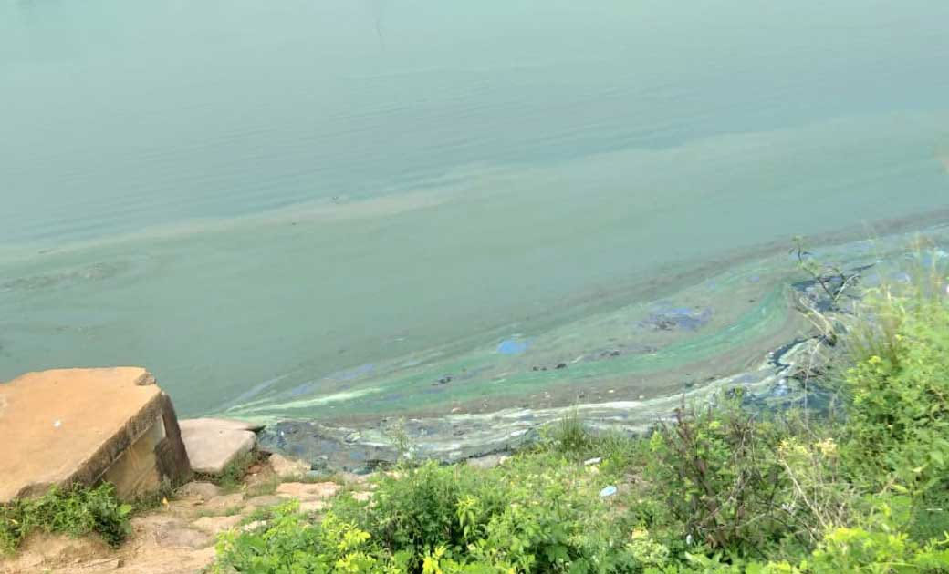 राईस मिलों ने की राख, साफ-सफाई और किया वृक्षारोपण, राईस मिल ... - CG Sandesh