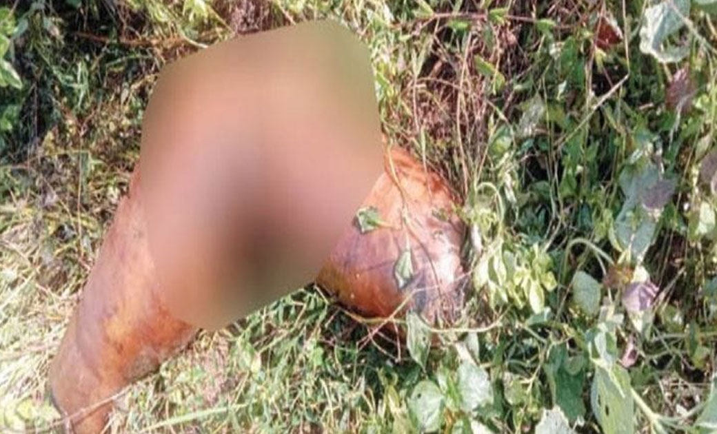 क्राईम छत्तीसगढ़:-खेत में युवती की लाश मिलने क्षेत्र में फैल गई सनसनी..!टुकड़ों में मिली युवती की लाश....शरीर के अन्य  हिस्से गायब...