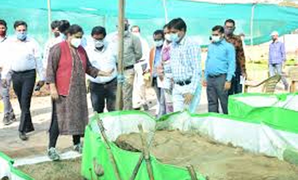 कृषि उत्पादन आयुक्त ने ग्राम मोखला एवं मुड़पार स्थित गौठान का किया निरीक्षण