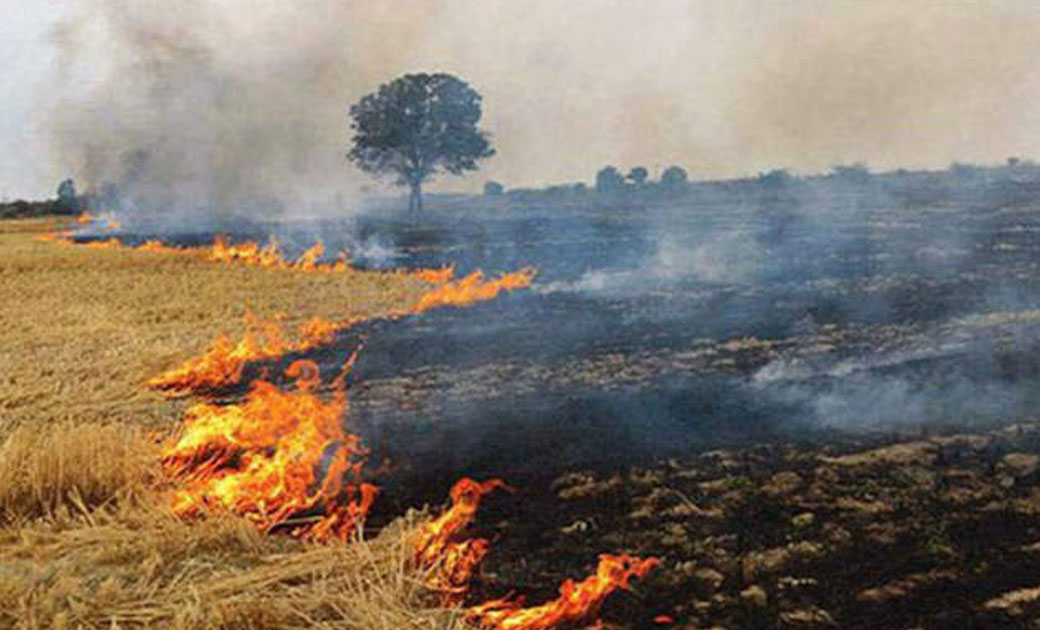 फसल कटाई के उपरांत खेतों में बचे हुये फसल अवशिष्ट को जलाने प... - CG Sandesh