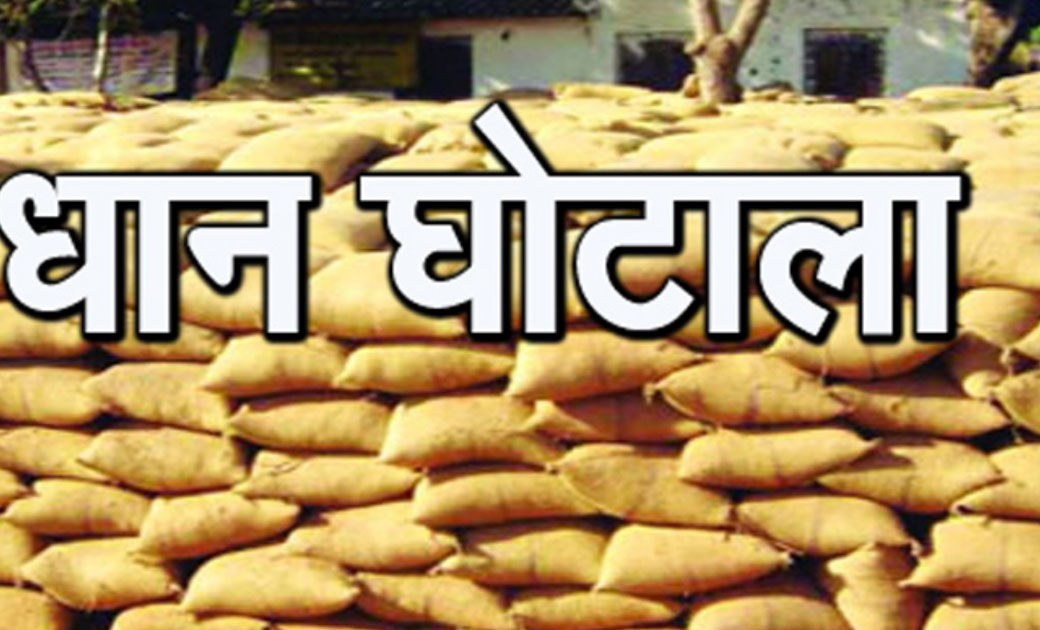 बिना धान खरीदी आवक बताकर करोड़ो का घोटाला, अध्यक्ष, खरीदी प्र... - CG Sandesh