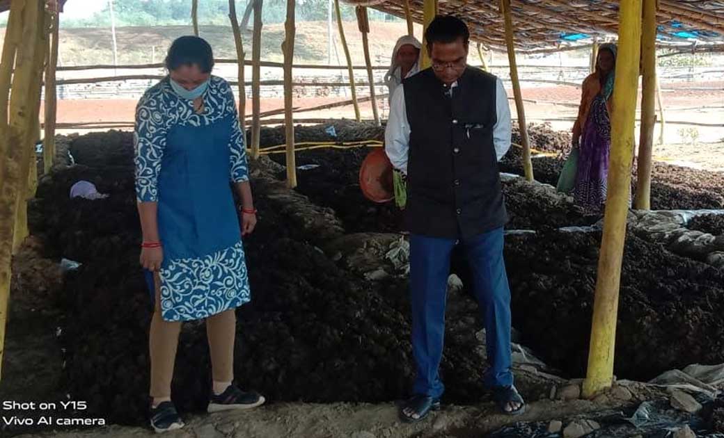 महासमुंद : वर्मी खाद उत्पादन को बढ़ावा देने के लिए विभागीय अम... - CG Sandesh