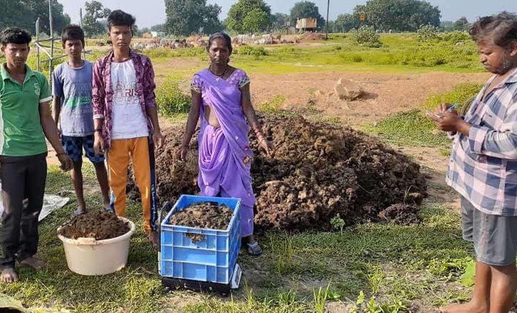 महासमुंद : किसानों को हो रही अतिरिक्त आमदनी, जिले में पशुपाल... - CG Sandesh