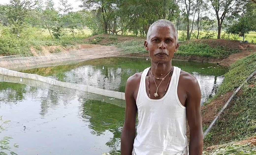 सफलता की कहानी : मछली पालन में लागत कम और मुनाफा ज्यादा, राज... - CG Sandesh