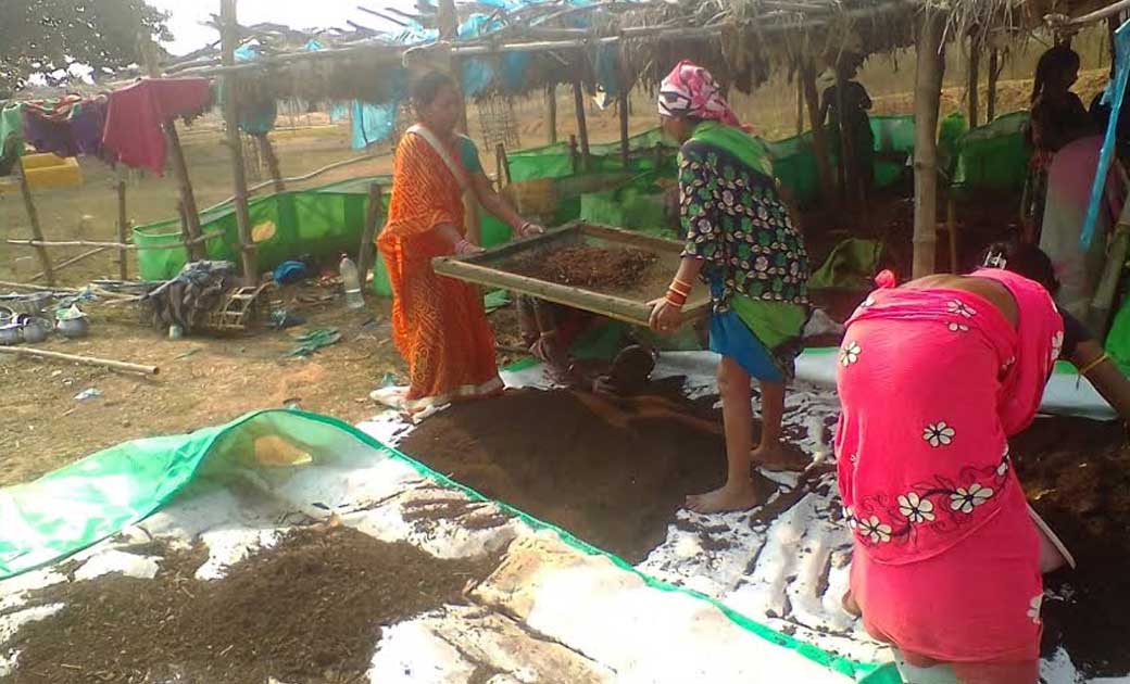 महासमुंद : नरवा, गरवा, घुरवा अउ बाड़ी, ग्रामीण अर्थव्यवस्था म... - CG Sandesh