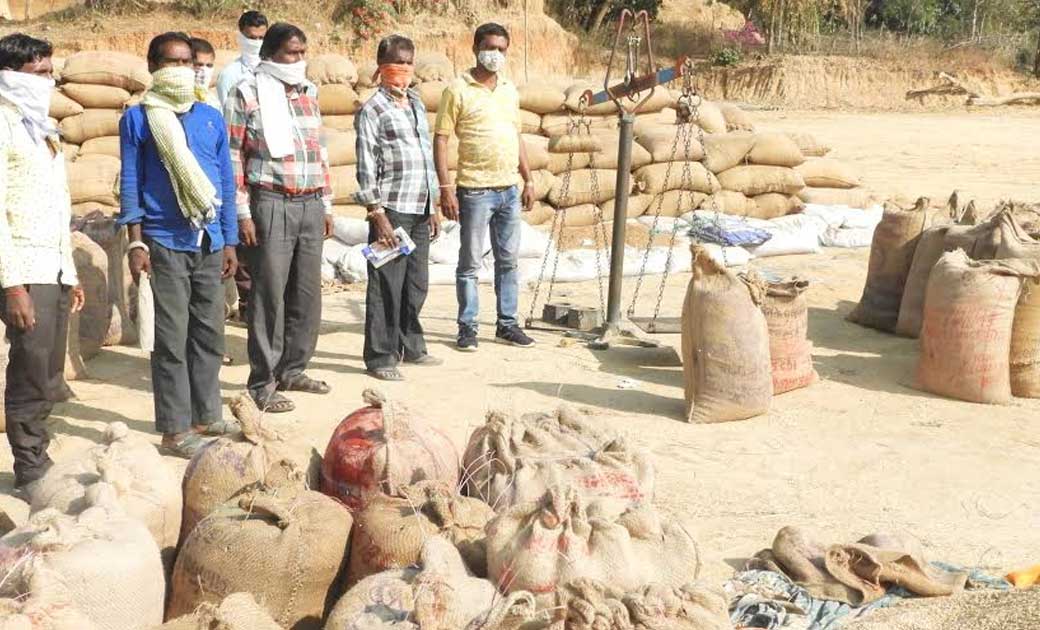 महासमुंद : शासन की योजनाओं ने बदली जिले के किसानों और मजदूरो... - CG Sandesh