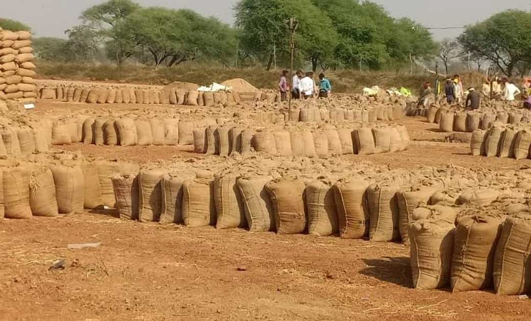 महासमुंद : जिले में अब तक 76 हजार 218 पंजीकृत किसानों से लगभ... - CG Sandesh