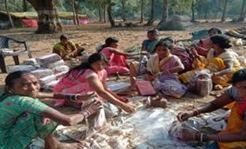 महासमुंद : जय कोनापाठ समूह की महिलाओं को आत्मा योजना से मिला... - CG Sandesh