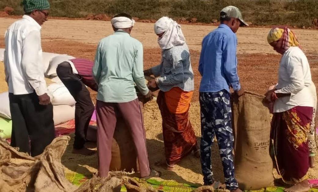 जिले में अब तक 24 हजार पंजीकृत किसान लगभग 06 लाख 79 हजार क्व... - CG Sandesh