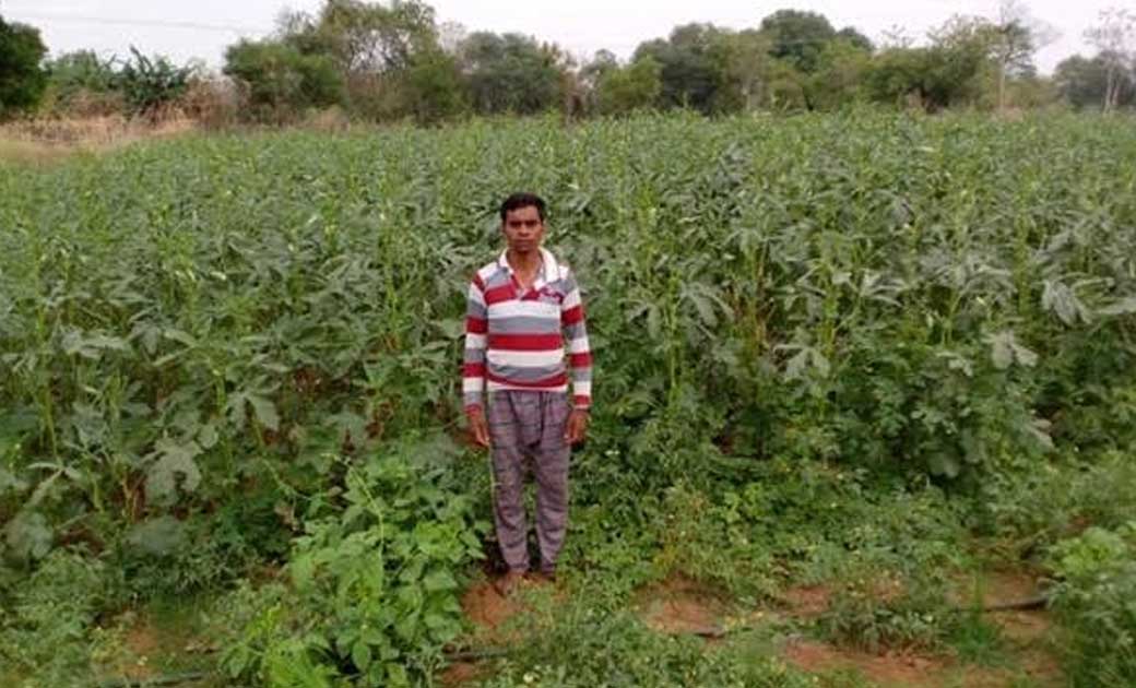 महासमुंद : बाड़ी में साग-सब्जी का उत्पादन कर किसान हो रहे हैं... - CG Sandesh
