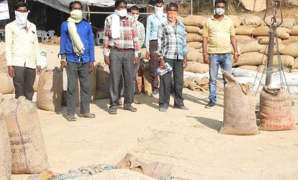 महासमुंद : सफलता की कहानी : जुनवानी कला के किसान अनुप कुमार ... - CG Sandesh