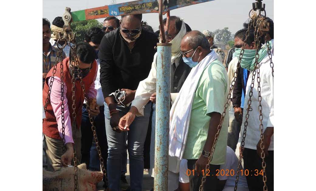 कलेक्टर ने की कांटा-बाँट की पूजा के साथ जिले में धान खरीदी क... - CG Sandesh