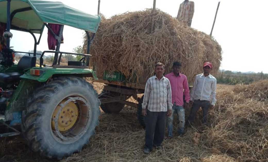 महासमुंद : जिले में अब तक 46 गौठानों में 78 टन से अधिक चारा ... - CG Sandesh