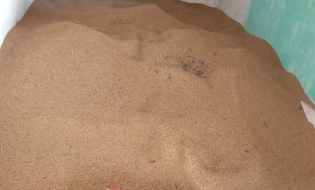 महासमुंद : अवैध रूप से धान का भंडारण करने वाले चार लोगों पर ... - CG Sandesh
