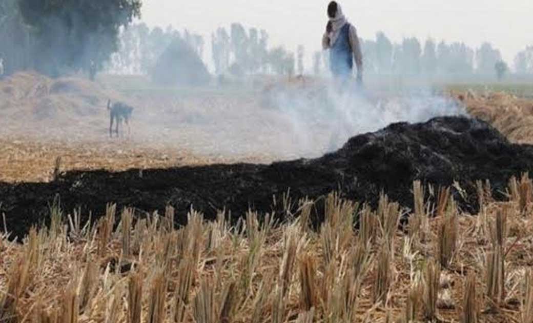 महासमुंद : कलेक्टर ने किसानों से खेतों में बचें फसल अवशेष न ... - CG Sandesh