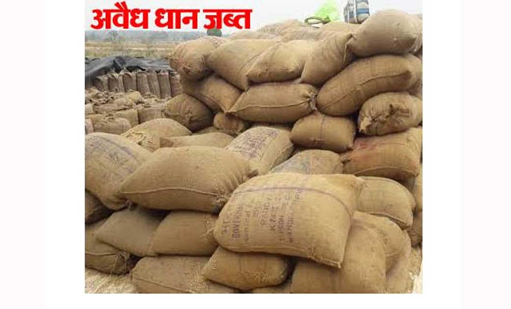 महासमुंद : अवैध रूप से रखे 130 बोरी (52 क्विंटल) धान जप्त. - CG Sandesh