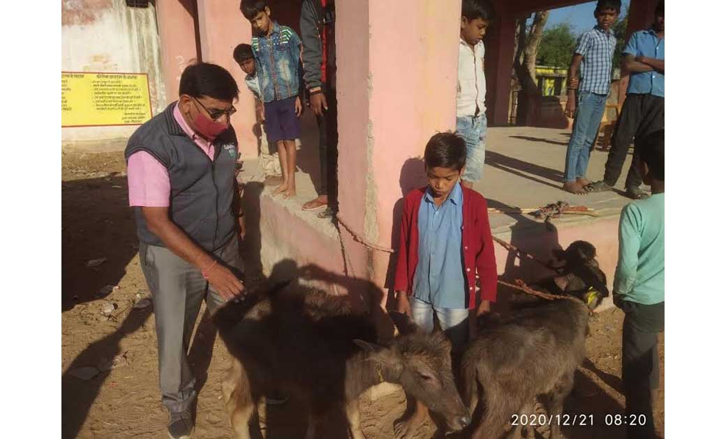 बागबाहरा एवं महासमुंद विकासखण्ड के विभिन्न ग्रामों में किया ... - CG Sandesh