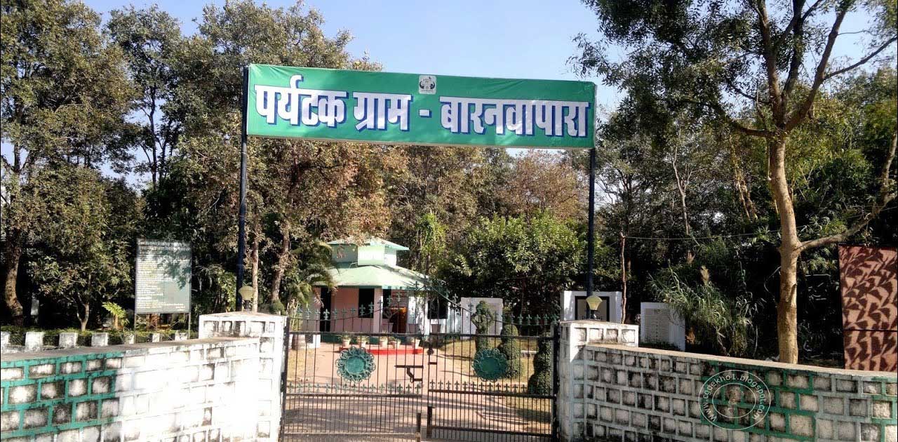 बार अभ्यारण्य की जमीन हुई चोरी - CG Sandesh