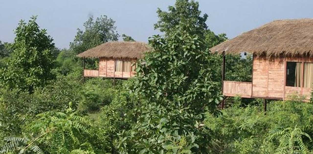 वन विभाग के कार्यो का अब आर0ई0एस0 विभाग द्वारा किया टेंडर - CG Sandesh