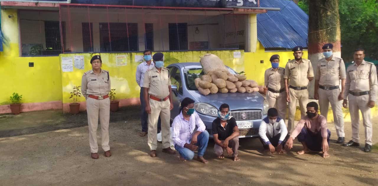 अलग अलग मामलों में 47 लाख के गांजा के साथ 8 आरोपी पकड़ाये, 12... - CG Sandesh