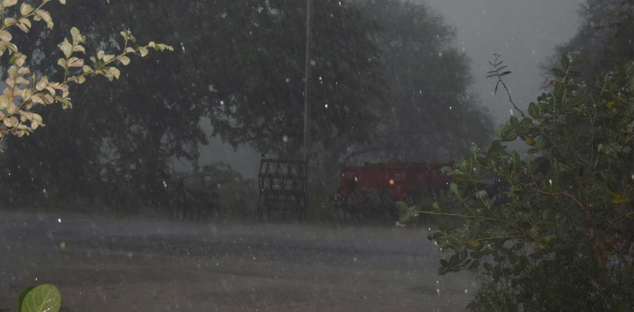 अब तक 242.3 मि.मी. की औसत बारिश दर्ज      - CG Sandesh