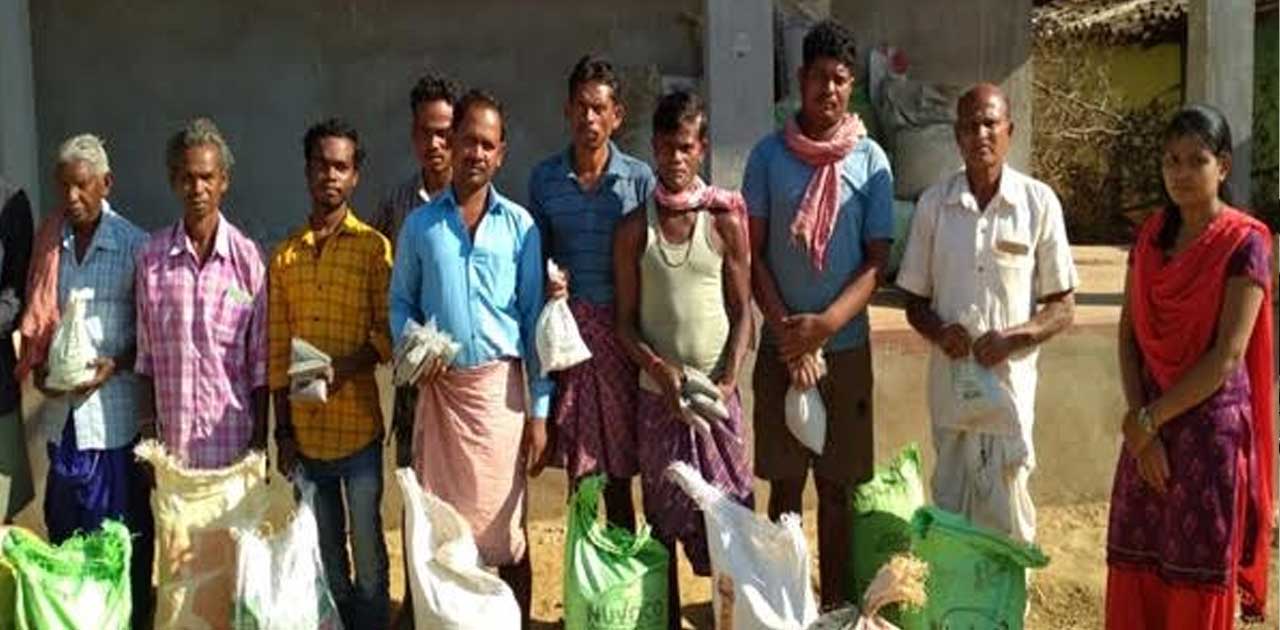 बाड़ी विकास कार्यक्रम : बाड़ी में सब्जी-भाजी के उत्पादन के लिए... - CG Sandesh