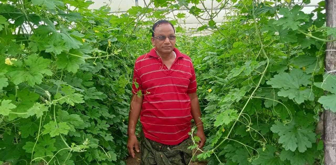 उद्यानिकी विभाग की योजना का किसानों को मिल रहा लाभ - CG Sandesh
