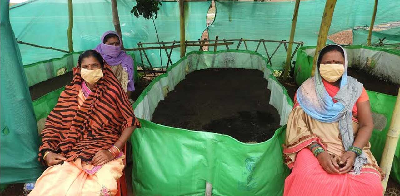 कामधेनू महिला स्व-सहायता समूह की सदस्यों ने जैविक खाद बनाकर ... - CG Sandesh