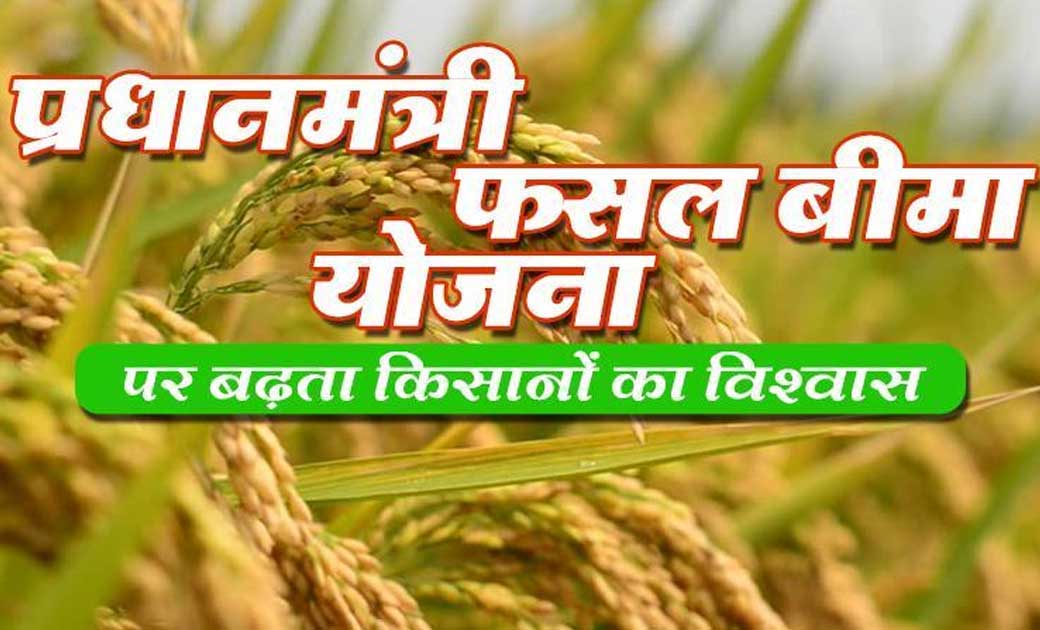 प्रधानमंत्री फसल बीमा   :  योजना के तहत खरीफ फसलों धान सिंचि... - CG Sandesh