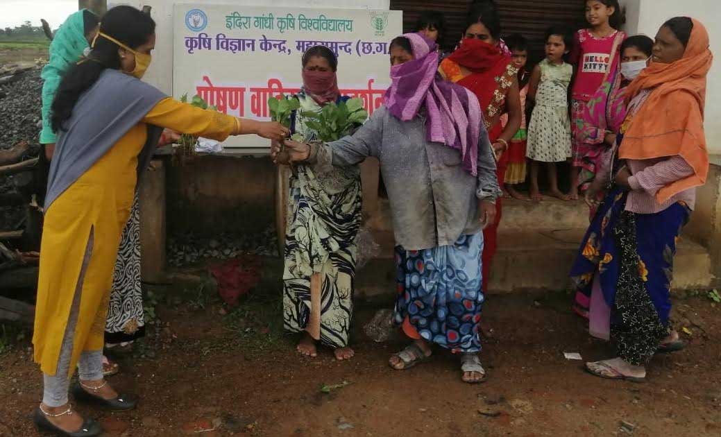 लाफिन खुर्द में  महिलाओं को पोषण वाटिका पर दिया गया प्रशिक्ष... - CG Sandesh