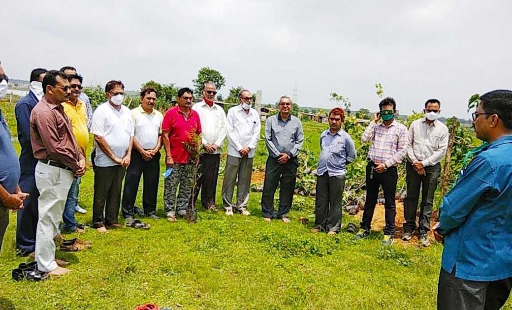 हेमंत राठौड़ स्मृति उपवन में रोपे गए फलदार व छायादार पौधे  - CG Sandesh