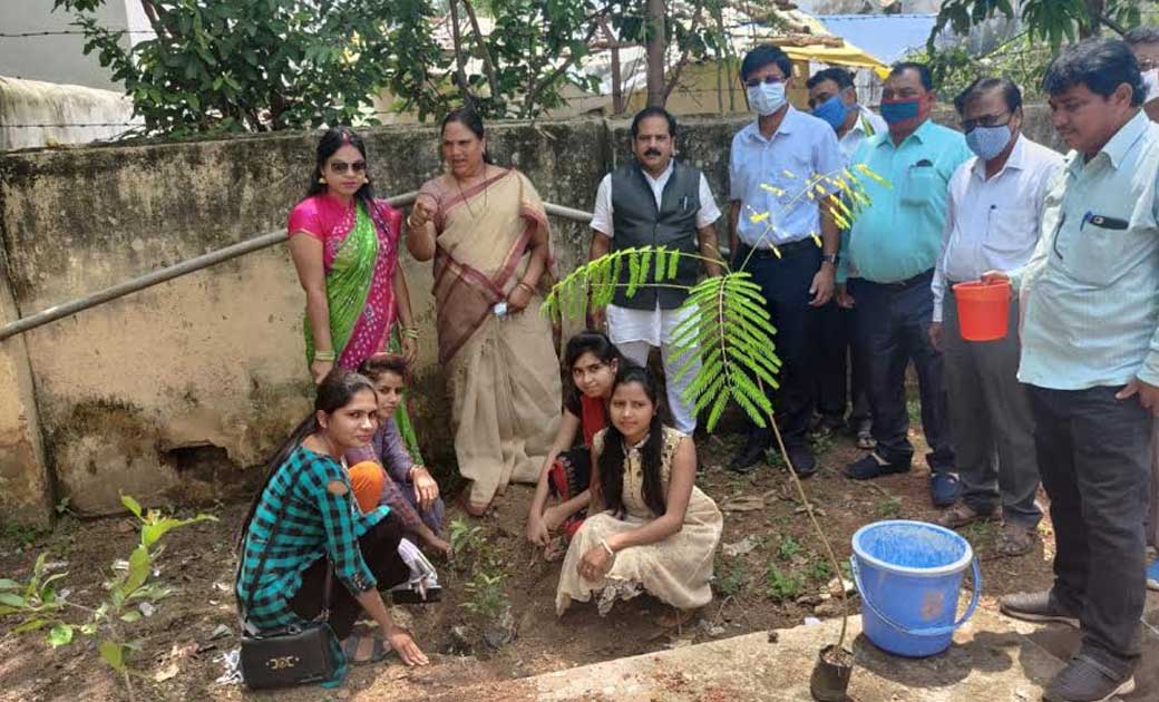 जिला पंचायत अध्यक्ष एवं सदस्यो ने किया वृक्षारोपण  - CG Sandesh