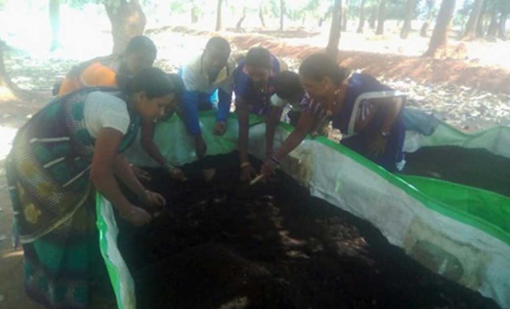गौठान बना अवसर : वर्मी कम्पोस्ट खाद से महिलाएं हो रही सशक्त - CG Sandesh